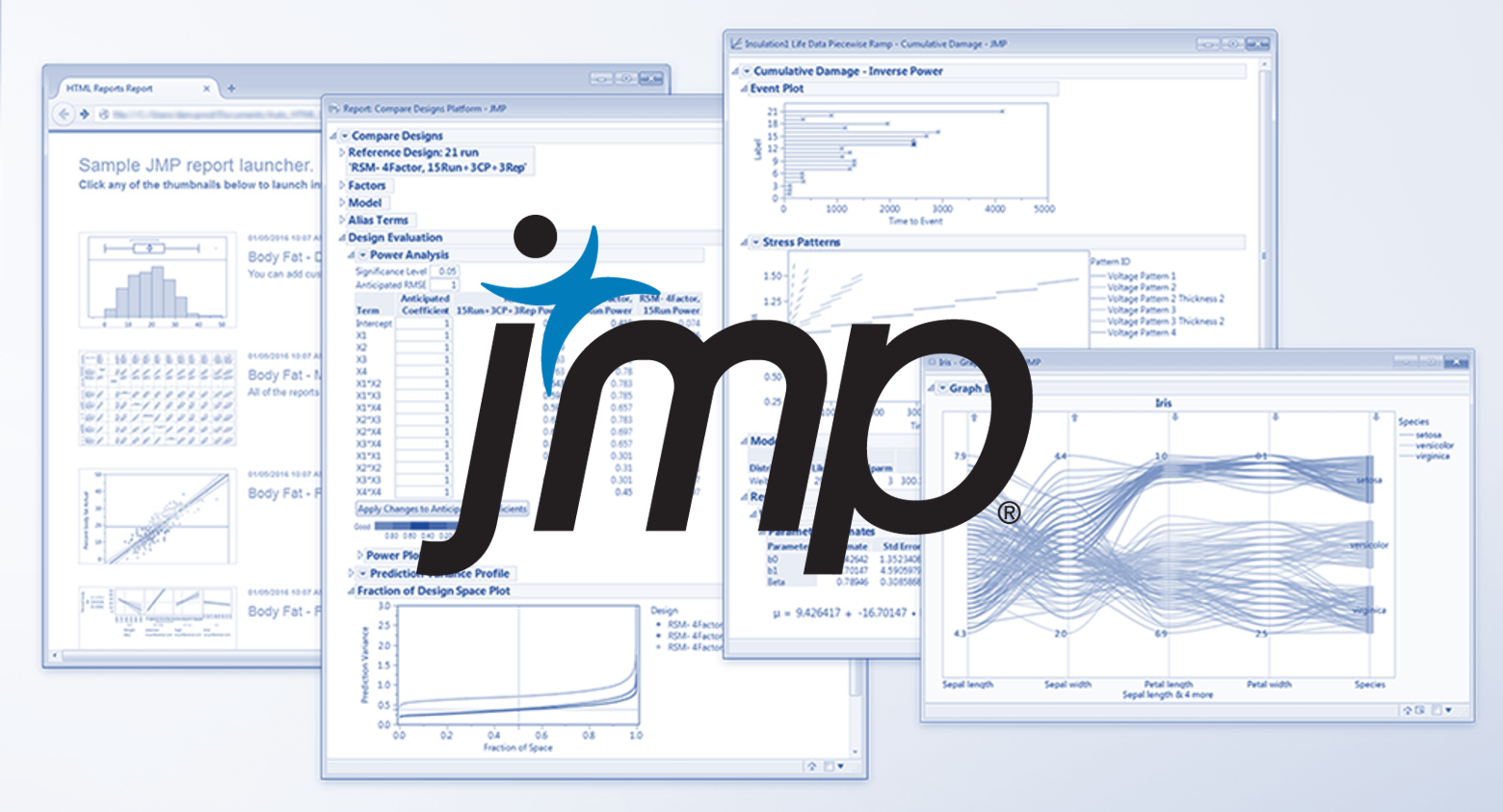 jmp software cost